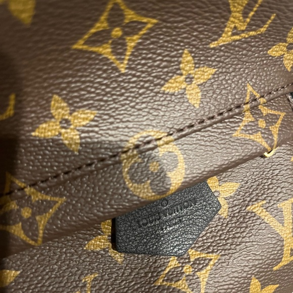 Louis Vuitton Palm Springs mini backpack/crossbody - Picture 4 of 6